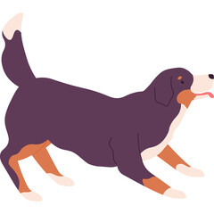 Illustration Of A Brown Black And White Bernese Mountain Dog With Tongue Out In A Playful Pose On A White Background