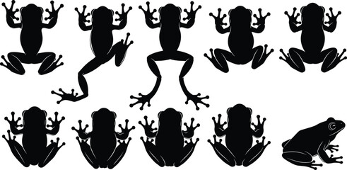 Frog silhouette vector illustration, black and white amphibian clipart, varied poses and realistic detail, outlined style, bold, graphic, educational, natural