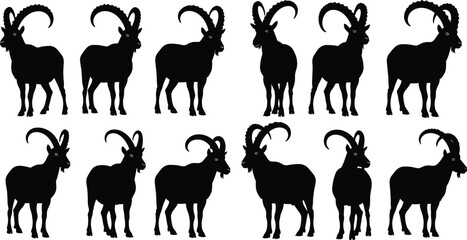 Goat silhouette vector illustration, black and white livestock clipart, horn variations and side profiles, outlined style, bold, graphic, clean, natural
