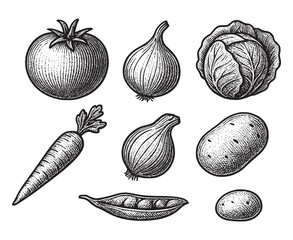 Vintage Engraved Vegetable Collection for Healthy Eating Organic Farm Vegetables Outline Collection | Engraved Vector Design