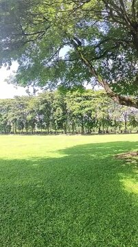 Prambanan Temple Park