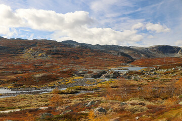 summer landscape along the most scenical railway track between Oslo and Bergen