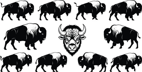 Wild bison and buffalo silhouettes collection, detailed animal head illustration, walking grazing and standing poses, wildlife vector design for logo, emblem, or print
