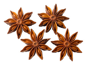 Fototapeta premium Four star-shaped spices, brown and detailed, arranged on a seamless black background