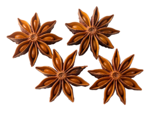 Four star-shaped spices, brown and detailed, arranged on a seamless black background