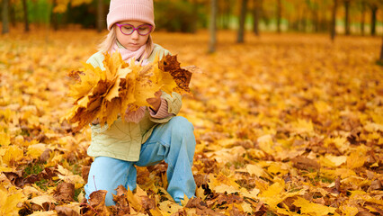 young girl plays with autumn leaves in park. child wearing pink beanie and glasses gathered golden...