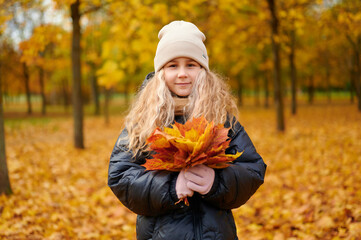 autumn girl holding colorful leaves in golden park. blonde child in warm jacket and beanie embraces...