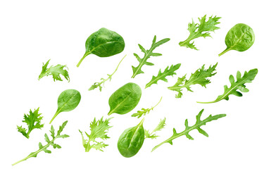 varied mix of green leafy vegetables including spinach and arugula, perfect for salads, smoothies, and adding a healthy touch to any meal