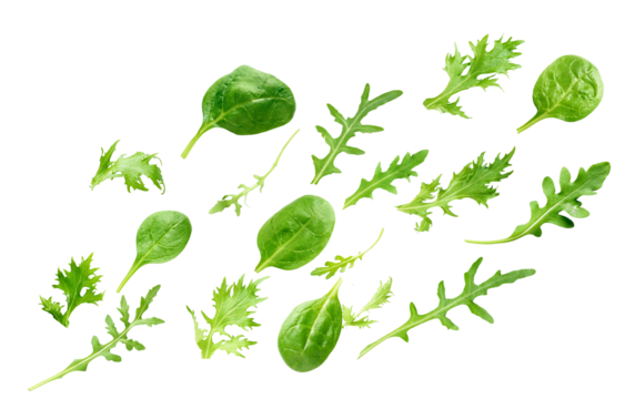 varied mix of green leafy vegetables including spinach and arugula, perfect for salads, smoothies, and adding a healthy touch to any meal