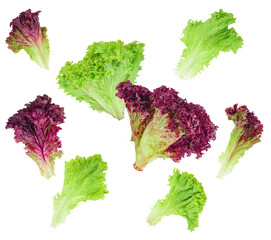 assortment of fresh lettuce leaves displayed in vibrant green and deep red, evoking healthy eating...