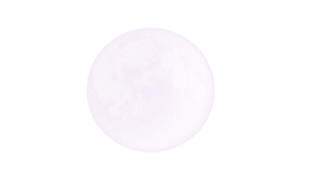 easter egg isolated on white