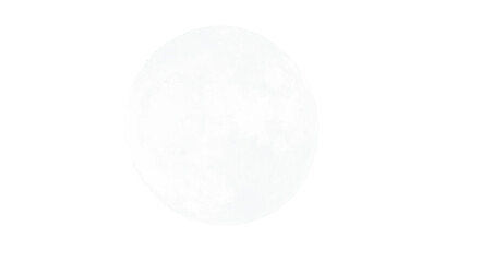 white egg isolated on white