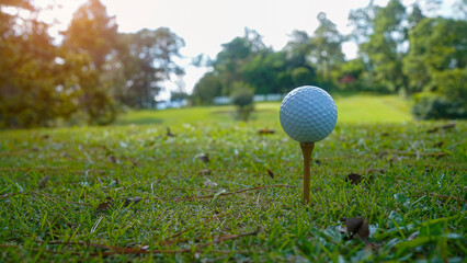 Golf clubs and golf balls on a green lawn in a beautiful golf course with morning sunshine.