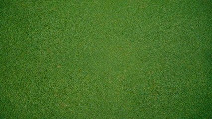 Green grass background, top view background of garden bright grass concept.