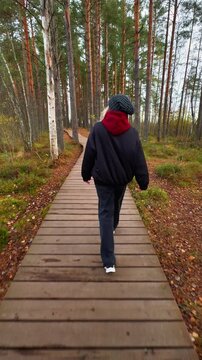 A medium wide shot captures a young woman walking alone on a wooden trail, a boardwalk, through a scenic swamp area bordered by tall pine and birch trees in an autumn landscape. 