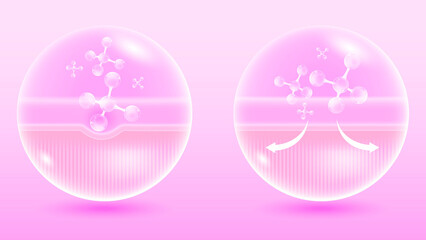 Dermal Layer Absorption with Active Molecules