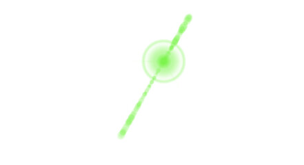 green sprout on white background