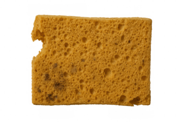 Dirty yellow sponge with torn corner and mold spots, transparent background, representing hygiene issues and cleaning needs