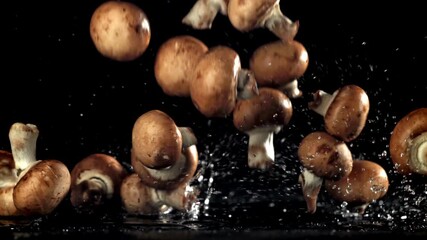 Mushrooms fall on a wet table. Filmed on a high-speed camera at 1000 fps. High quality FullHD footage - Powered by Adobe