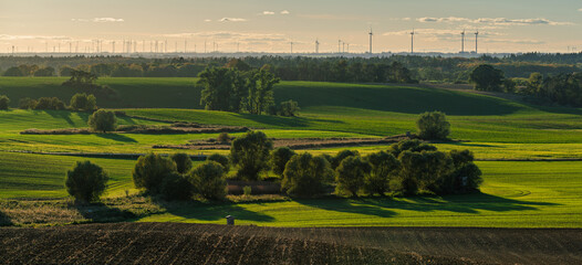 Intensely green fields contrasting with the autumn colors of trees in Brandenburg, Germany