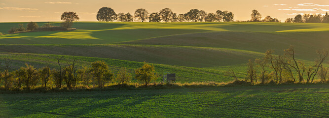 Intensely green fields contrasting with the autumn colors of trees in Brandenburg, Germany