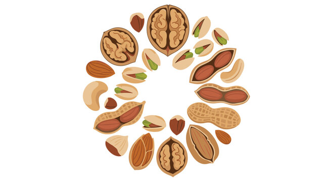 Assortment of various nuts arranged in a circular frame on white.