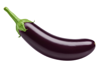 Isolated glossy purple eggplant, a common vegetable in many diets and cuisines around the world