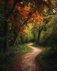 Fototapeta premium Winding Path Through Autumn Forest, Eye-Level View, Serene Nature Scene, Fall Foliage, Peaceful Walkway, Woodland Trail, Seasonal Landscape, Outdoors
