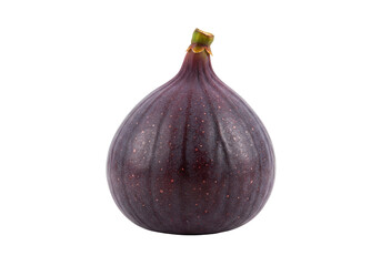 Isolated fig fruit with smooth purple skin and small green stem, delicious and tasty