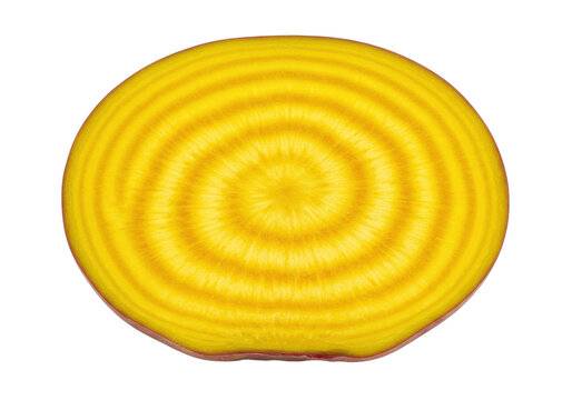 Isolated, a single slice of golden beet with concentric rings, a vibrant and nutritious vegetable