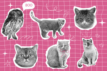 Cat halftone collage sticker set, trendy retro y2k pet, funky emoticon animal, pop aesthetic. Meme head with speech bubble. Funny kitty. © Alyona