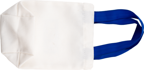 Small white tote bag with blue handles.