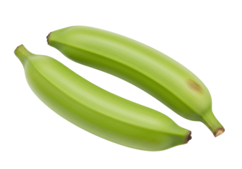 Isolated Plantains, starchy and less sweet member of the banana family, tropical regions
