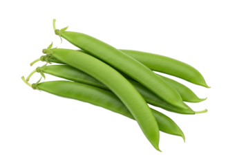Isolated Snow Peas, a Pile of Healthy Green Edible Pods, a Delicious Organic Ingredient