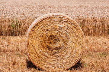 Fin de moisson — botte de paille sous le soleil