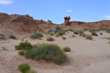 Gelbe Blumen und blauer Himmel im Goblin Valley State Park	