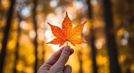 Hand holding autumn leaf against blurred forest background