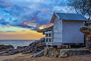 Fototapete bei efototapeten.de bestellen   