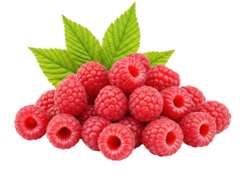 Isolated Raspberries, Pile, Arrangement, Fresh, Ripe, Red Fruits, Berries with Green Leaves