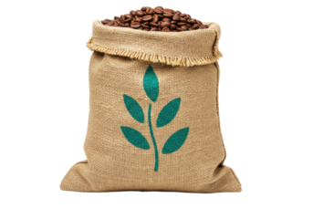 Isolated jute sack bag full of brown coffee beans with green leaf print, rough texture