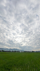 Fototapeta premium Scenic Farmland Landscape with Cloudy Sky