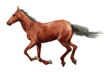 アナログ水彩画駆ける馬