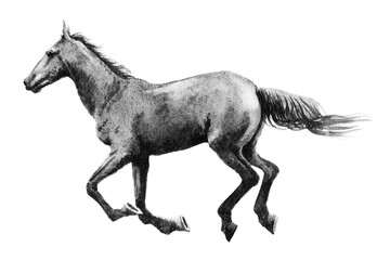 アナログモノトーン画駆ける馬