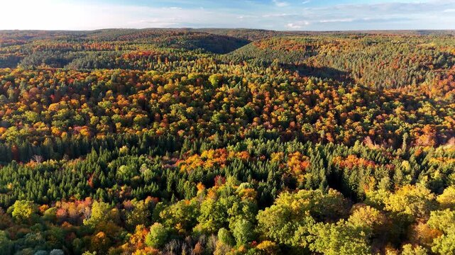 Aerial drone footage of descent over beautiful colorful autumnal forest in the late afternoon