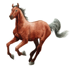 アナログ水彩画駆ける馬