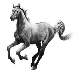 アナログモノトーン画駆ける馬