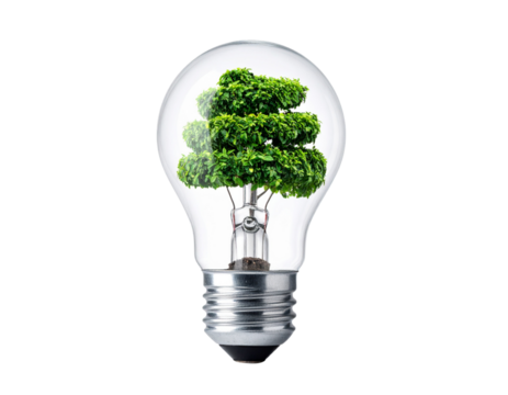 Side-Angle Perspective of Eco Light Bulb, Plants Spiraling Inside, Isolated on Transparent Background