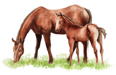 アナログ水彩画馬の親子
