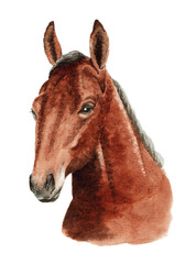 アナログ水彩画馬の顔