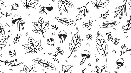 Obraz premium Deciduous leaves hand drawn black and white pattern background